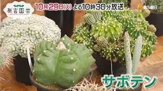 ハマる人が急増中！個性的フォルムのサボテンに迫る【夢が咲く 有吉園芸～Road to open a garden shop～】