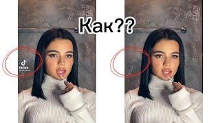 Как скачать видео из TikTok или Likee без водяного знака?