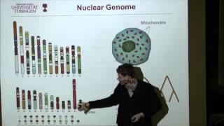 Ancient Human Genomes...Present-Day Europeans - Johannes Krause