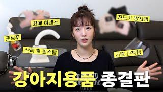 10년차 강아지 집사 뽀미의 강아지 용품 정착템