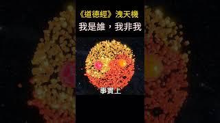 《道德經》洩天機：我是誰，我非我？ | 解開心鎖，放飛自由 | 我是誰的覺悟與啟示 #靈性成長 #覺醒 #開悟