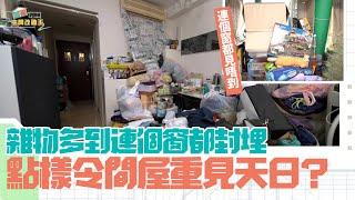 立邦抗甲醛淨味兒童漆系列特約：香港空間改造王2 ｜EP4 PT1 ｜ 雜物多到連個窗都封埋 可以點樣令間屋重見天日？ ｜ 李尚正 ｜ 阿正 ｜ 盧頌恩 ｜ 妹頭 ｜ 空間改造王 ｜ HOY TV