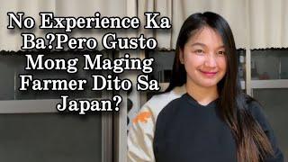 How to make Experience and Certificate of Employment | Farmer in Japan |