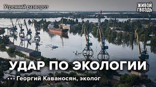 Экологические последствия катастрофы Каховской ГЭС / Каваносян: Утренний разворот // 08.06.23