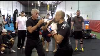 Sifu Kevin Seaman