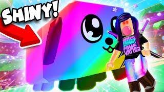 SHINY RAINBOW DOGCAT SECRET PET!  (Roblox Bubble Gum Simulator)