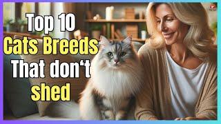  TOP 10 CATS BREEDS THAT DON'T SHED 