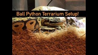 Ball Python Terrarium Setup