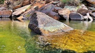 Wild Browns & Rainbows At Cheesman Canyon | Tenkara Fishing In Colorado