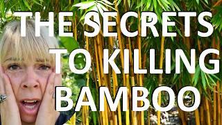 How to Kill and Get Rid of Bamboo