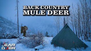 Backcountry Rifle Mule Deer Hunt | 4K FILM