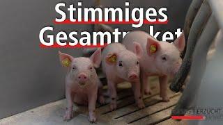 Stimmiges Gesamtpaket: Betrieb Gaisberger