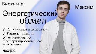 Энергетический обмен | Биохимия