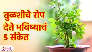 येणारे दिवस कसे असतील? सांगते तुळशीचे रोप | Vastu Tips For Home | Lokmat Bhakti | KA3