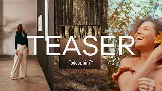 Todeschini Meeting - Teaser