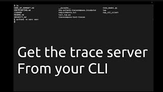 Eclipse Trace Compass: TSP Python Client - Unleash your CLI