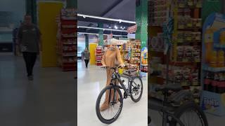 Выиграла велосипед, а знаете как? ЛЕГКО! Просто участвовала в акции, купила спонсорский товар и все