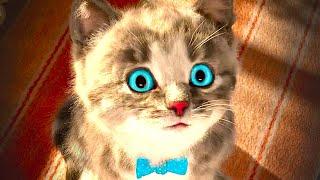 My Little Crumbs Kitten Adventure Cartoon Animation for Kids - Lovely Cat  Education for Toddlers