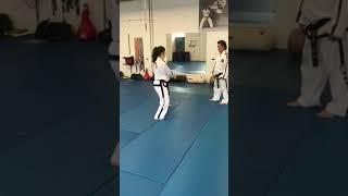 Ul-Ji With Corrections By Senior Grand Master Lu