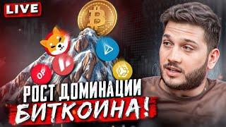 Если СЕЙЧАС 2019, то у нас ГОД ДО АЛЬТСЕЗОНА!