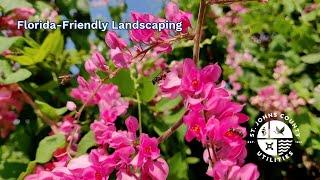 Florida-Friendly Landscaping - St. Johns County Utilities & UF/IFAS