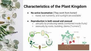 Plant Characteristics (Part 1)