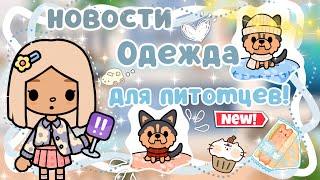 ~|ОДЕЖДА ДЛЯ ПИТОМЦЕВ СОВСЕМ СКОРО! НОВОСТИ ТОКА БОКА|~~|KarenStone/TocaBoca|~