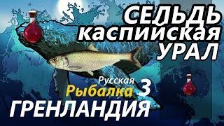 Сельдь Каспийская Урал / РР3 [Русская Рыбалка 3 Гренландия]