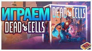 Играем в настольную игру Dead Cells