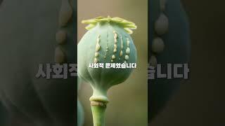 마약퇴치의 날이 6월 26일인 이유!