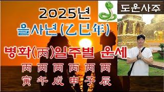 [풀영상] 2025년 을사乙巳년 병丙화 일간 일주별 운세_병인, 병오, 병술, 병신, 병자, 병진