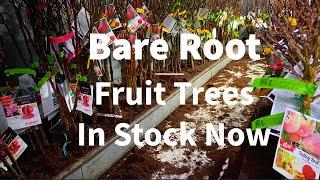 Bare Root Fruit Tree stock levels are growing (Available Once a Year)