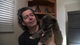 Getting a new Rez dog puppy. Go North and name that puppy.
