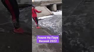 Рыбалка  на Паук весной 2022