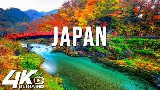 Wonders of Japan  The Most Amazing Places in Japan  Travel Documentary 4K