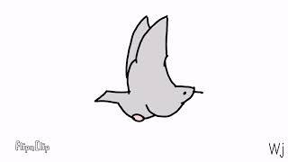 pigeon animation test