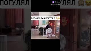 Дал-дал,ушёл!#юмор#животные#собаки