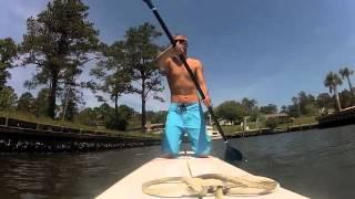 Paddleboarding Adventure