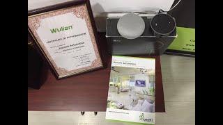 Wulian Google Home Automation