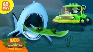 CHASED BY BABY SHARK?!  | 1 HOUR | Ocean Animals | Leo the Wildlife Ranger | Kids Cartoons