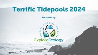 Terrific Tidepools November 2024