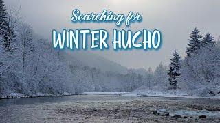 Hucho Fly Fishing | Searching for Winter Hucho