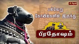 தோஷங்கள் நீங்கும் பிரதோஷம் | Pradhosham பல்வேறு கோவில்களில் இருந்து | Jothitv