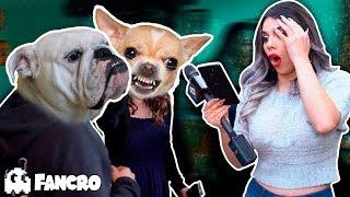 Exponiendo Infieles Ep. 2 - Especial Animales / Fancro