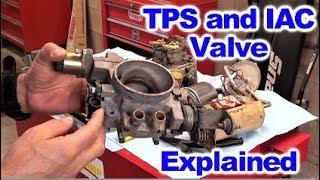 How the Throttle Position Sensor  (TPS)  and Idle Air Control Valve  (IAC)  Work