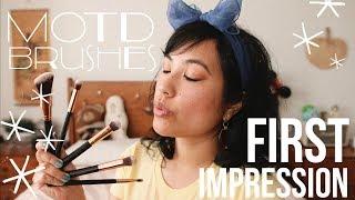 MOTD COSMETICS BRUSHES: FIRST IMPRESSION (CRUELTY-FREE + VEGAN) | thekategatsby