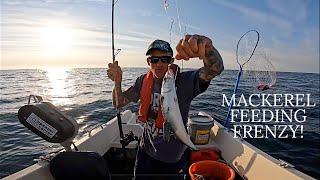 Mackerel Feeding Frenzy! Ultimate Mackerel Fishing: Tips, Techniques & Tricks for a Great Catch!