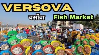 Versova fish market  | verosva wholesale fish market | वर्सोवा मच्छी बाजार | वर्सोवा कोळीवाडा ️