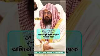 সুরা আত ত্বীন; হৃদয়স্পর্শী কন্ঠে আব্দুর রহমান আল সুদাইস #quran #sudaisquranrecitation #emotional