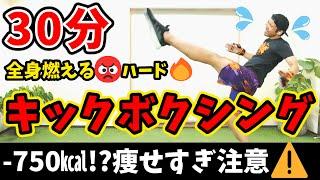 【30分-750kcal!?】高強度キックボクシングで楽しくストレス発散＆脂肪が燃えまくるマンションOK! BodyCombat Inspired【 ボクササイズ 痩せるダンス 】